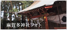 麻賀多神社フォト