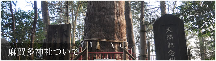 麻賀多神社について
